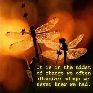 Meet your Posher, Kathy